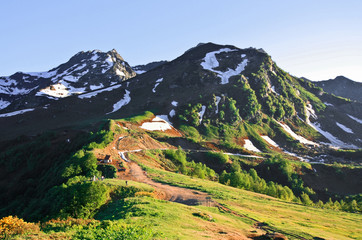Alpine meadows with snow-covered tops of the mountains