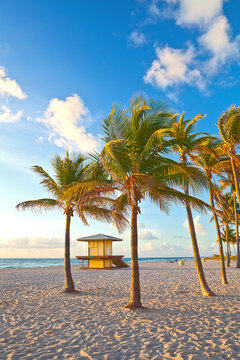 Palm trees and lifeguard house on a beautiful sunny summer afternoon in Hollywood Beach near Miami Florida with ocean and blue sky in the background