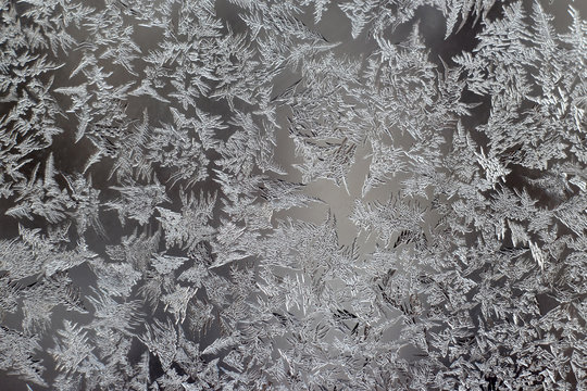 the unusual frost on a winter window