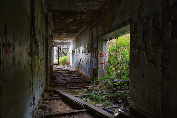 Fototapeta na wymiar Interior of an abandoned building overgrown with greenery