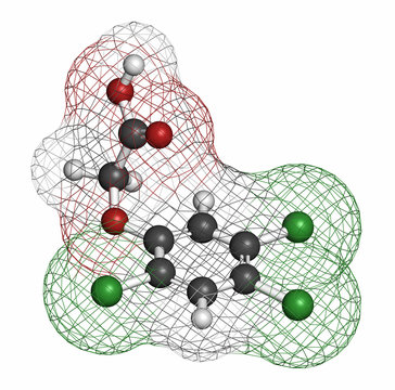 2,4,5-trichlorophenoxyacetic acid (2,4,5-T) herbicide molecule.