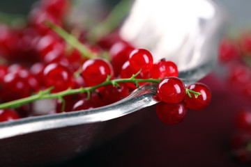 Fresh red currants in bowl close up