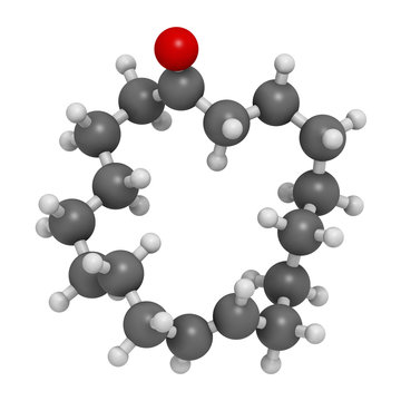 Civetone civet cat pheromone molecule. Used in perfume. 