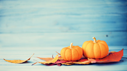 Pumpkins and autumn leafs over turquoise wood