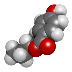 Propylparaben preservative molecule (paraben class). 