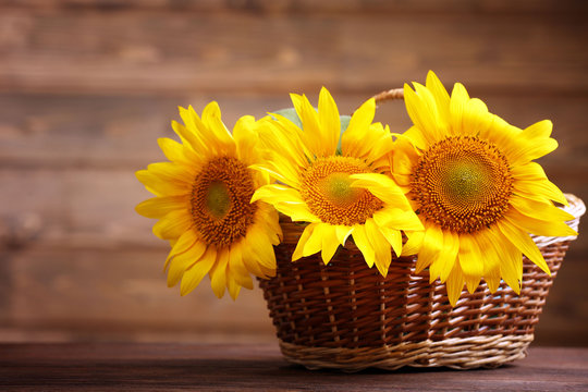 Beautiful bright sunflowers in basket on wooden background