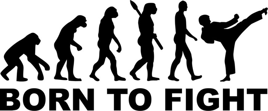 Karate evolution born to fight