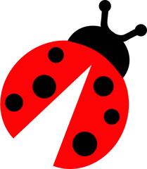 Fototapeta premium Ladybug simple