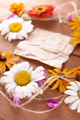 Fresh colorful flowers with crumpled sheet of paper on wooden table, closeup
