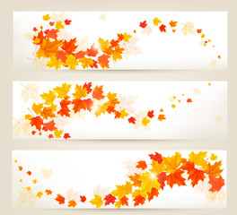 Three autumn banners with colorful leaves Vector