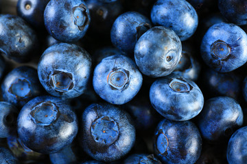 Heap of tasty ripe blueberries close up