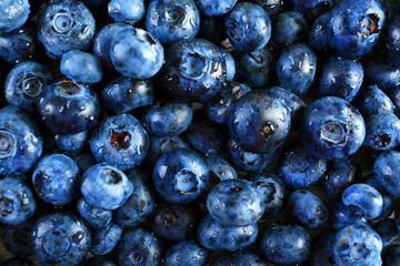 Heap of tasty ripe blueberries close up