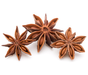 Star anise spice fruits and seeds isolated on white background c