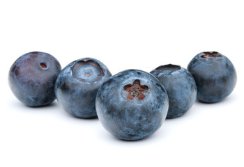 blueberry or bilberry or blackberry or blue whortleberry or huck