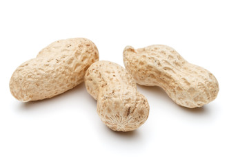 peanut pod or arachis isolated on white background cutout