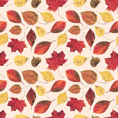 Seamless pattern created from real leaves  photo.