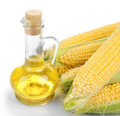 Fresh corn with bottle of oil isolated on white