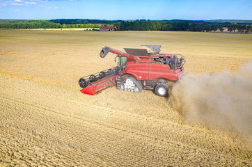 Combine working on the wheat field