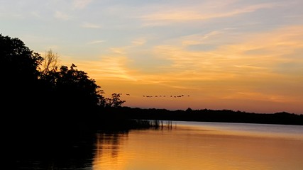 Fototapeta na wymiar Birds flying over lake