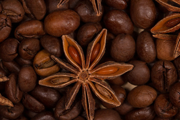 roasted coffee and star anise Macro