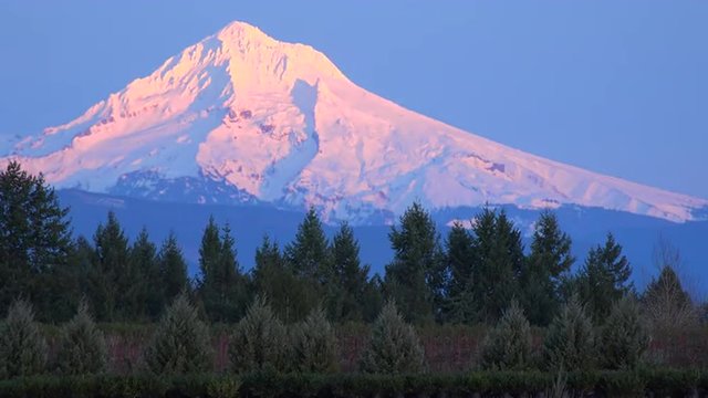 Sunset light illuminates Mt. Hood, Oregon.