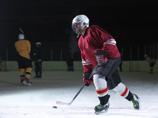 ice hockey player in action