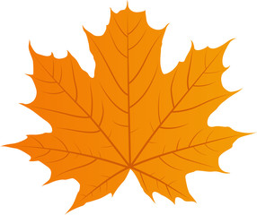 Autumn tree leaf vector icon