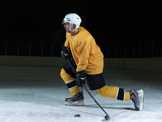 ice hockey player in action