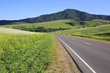 Beautiful road among farm fields.