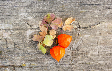 Fototapeta na wymiar Orange winter cherry on a wooden background