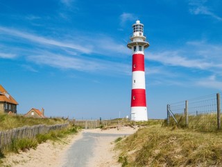Fototapeta na wymiar Road to lighthouse in the dunes. Coast of the North Sea, Belgium