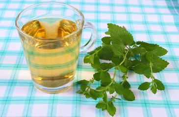 Fresh lemon balm and glass of herbal drink on tablecloth