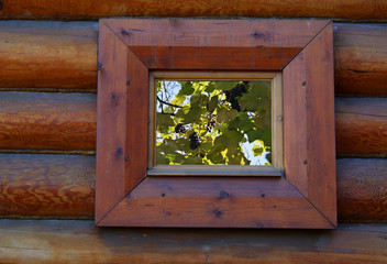 Vintage wooden window with the ripe dark grapes