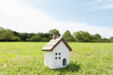 広い芝生の上 一軒家