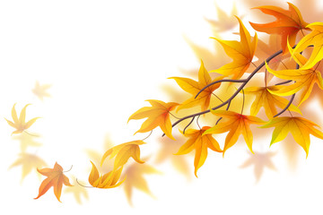 Fototapeta na wymiar Autumn branch with falling maple leaves on white background