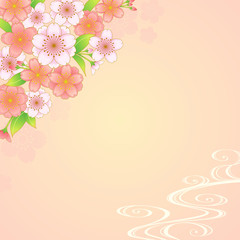 Fototapeta premium 桜