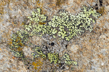 Close up old rock or stone texture