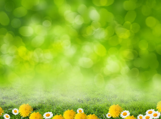 grass background