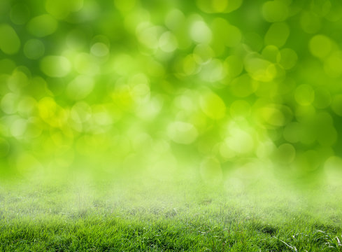 grass background