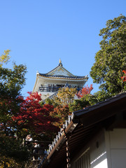秋の岐阜城