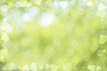 Fototapeta na wymiar Bokeh sun light leaf nature abstract background.