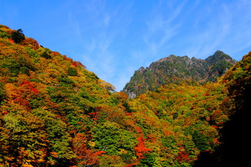 西沢渓谷から見る秋の鶏冠山