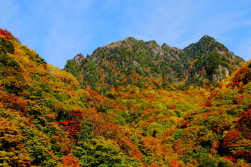 西沢渓谷から見る秋の鶏冠山