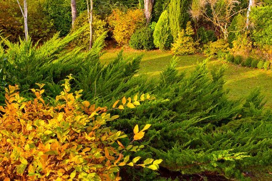 Jardin en automne 