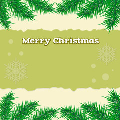 Spruce, branch, background Christmas vector