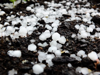 Destroying Hail