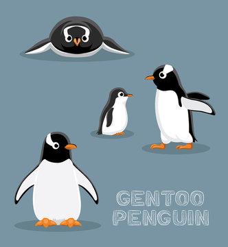 Gentoo Penguin Cartoon Vector Illustration