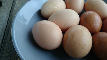 oeufs 17092015