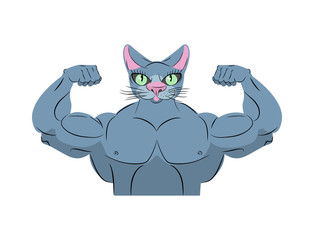 Strong cat. Power animal bodybuilder. Pet with big muscles. Embl