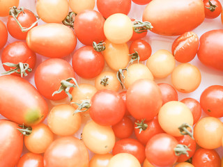 Retro looking Tomato vegetables